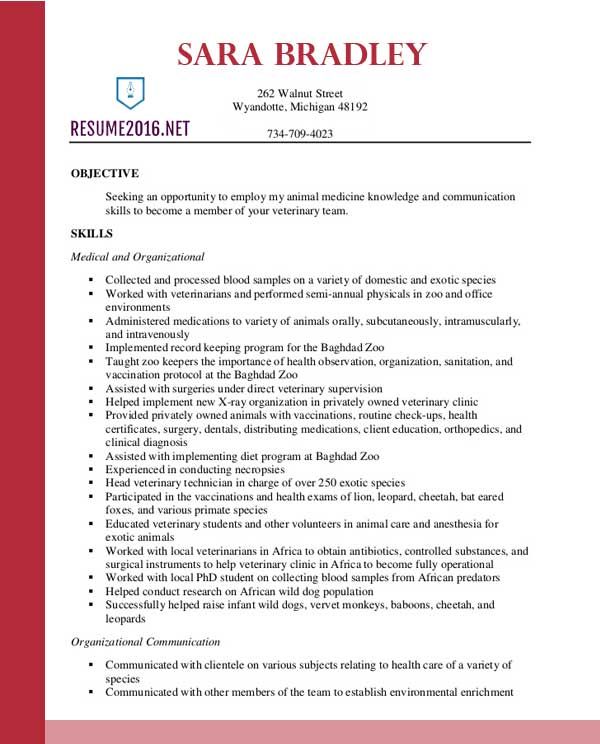 Quote Cover Letter Template