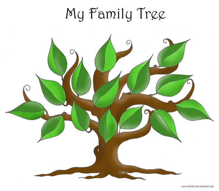 family-tree-template-fotolip-rich-image-and-wallpaper