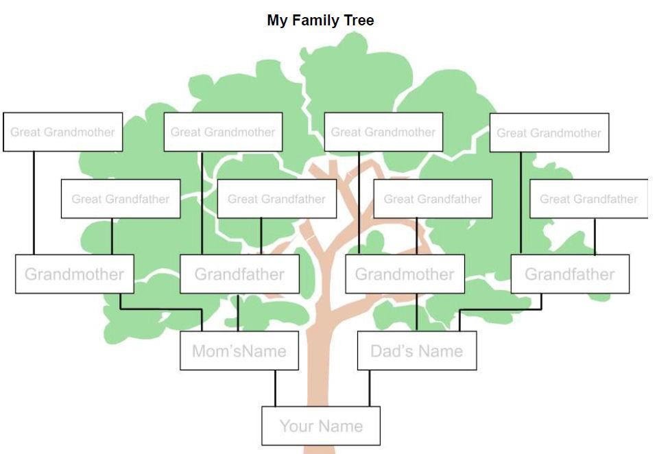  Family  Tree  Fotolip