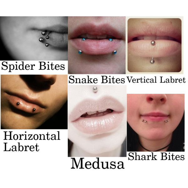 Lip Piercing Types | Fotolip.com Rich image and wallpaper