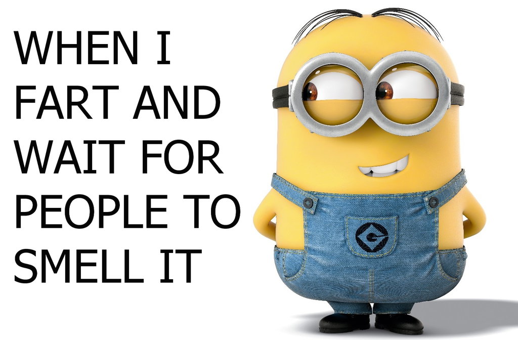 minion jokes