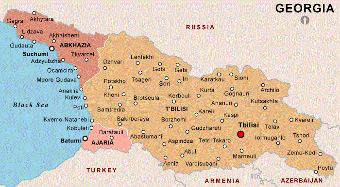 Political Map of Georgia