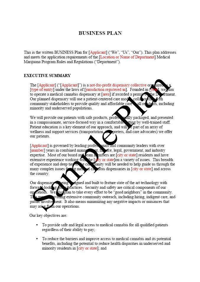 Sample Business Plan Fotolip