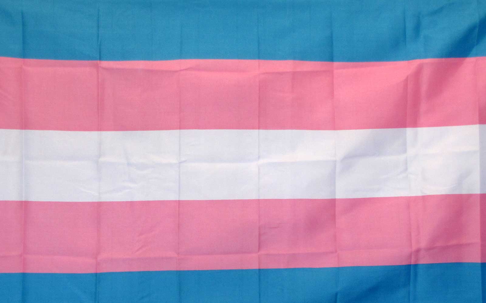 Trans flag.