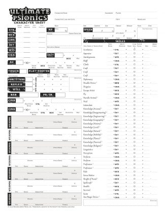 Pathfinder Character Sheet